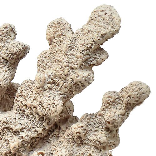 Itens Decoração detalhada de coral em poliresina na cor cinza - 26 cm - elegância marítima para sua casa