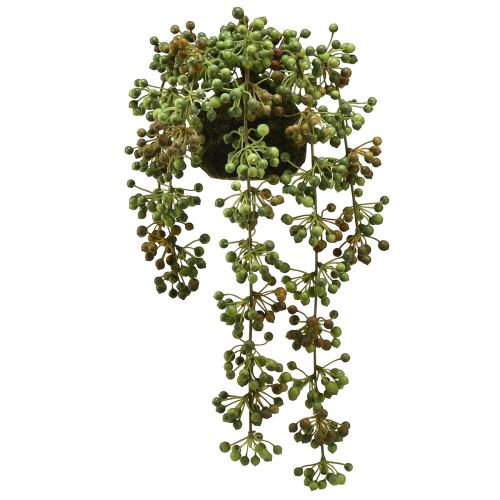 Floristik24 Colar de pérolas artificiais de planta verde em bola de musgo 38cm
