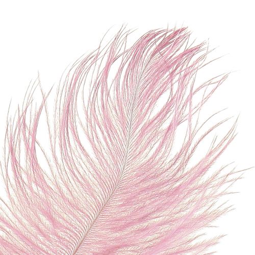 Itens Penas de Avestruz Penas Reais Decoração Rosa 20-25cm 12pcs