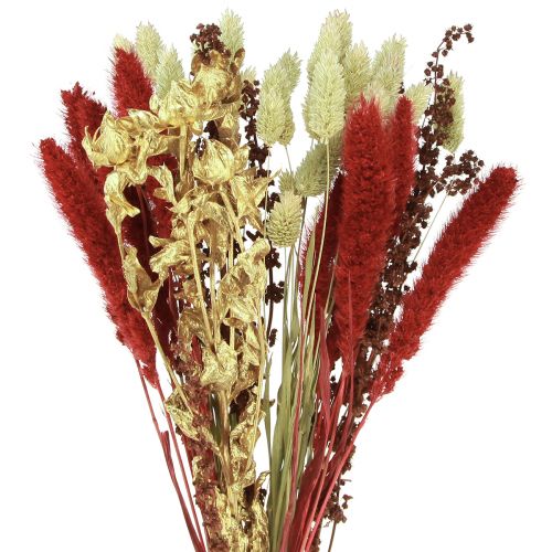 Buquê de flores secas Buquê seco de grãos ouro vermelho 50cm