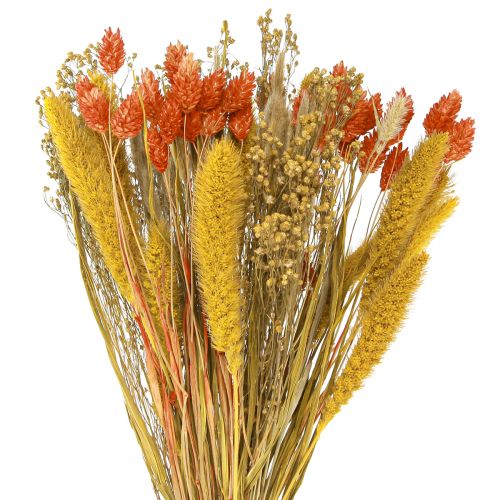 Buquê de flores secas com grão amarelo laranja 50cm