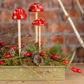 Floristik24 Cogumelos venenosos no palito, vermelhos, 4 cm, conjunto de 6 - cogumelos decorativos de jardim para decoração de outono