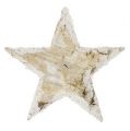 Floristik24 Estrelas de bétula natureza nevou 6,5 cm 30p
