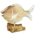 Floristik24 Suporte decorativo de madeira para peixes em raiz decoração marítima 27cm