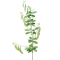 Floristik24 Ramo decorativo de ervilhaca, planta artificial, ramo verde, decoração 94cm