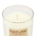 Floristik24 Vela perfumada em vidro cera natural Wenzel Candles Magnolia 85×70mm