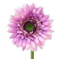 Floristik24 Flores Artificiais Gerbera Jardim Flores Artificiais Roxas 47cm