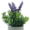 Floristik24 Lavanda artificial em vaso de cerâmica roxo verde Alt.22cm