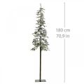 Floristik24 Árvore de Natal artificial Decoração fina de inverno coberta de neve Alt.180cm