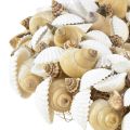Floristik24 Guirlanda de conchas decoração suspensa marítima coco branco natural Ø25cm