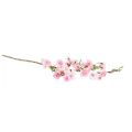 Floristik24 Ramo de flor de pêssego ramo rosa artificial primavera 69cm