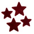 Floristik24 Decoração de Natal estrelas bordeaux decoração de mesa flocada 4–5 cm 40 unidades