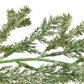 Floristik24 Guirlanda de abeto realista com 180 cm de comprimento - perfeita para decoração de interiores festiva, verde fresco, ideal para Natal e feriados