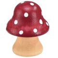 Floristik24 Cogumelos de madeira Cogumelos decorativos Mini cogumelos de madeira vermelho laranja 4 cm 12 unidades
