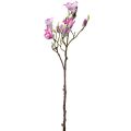 Floristik24 Ramo de magnólia de flor artificial, magnólia rosa 92cm