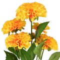 Floristik24 Flores artificiais dálias decorativas artificiais amarelo laranja 50cm