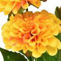 Floristik24 Flores artificiais dálias decorativas artificiais amarelo laranja 50cm