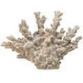 Floristik24 Decoração detalhada de coral em poliresina na cor cinza - 26 cm - elegância marítima para sua casa