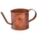 Floristik24 Regador decorativo de ferrugem mini vaso de metal Ø10cm Alt.9cm